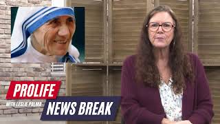 PFL-This is your Weekly News Break! Nov. 22, 2024