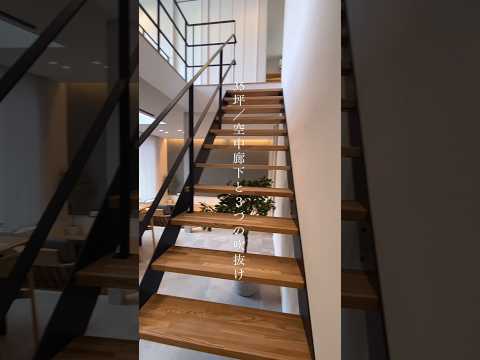 Video 5