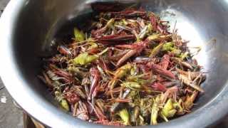 preview picture of video 'Blanched grasshoppers, Vientiane, Laos'