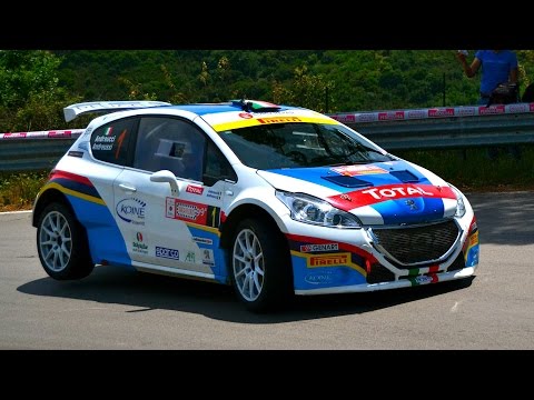 99 RALLY TARGA FLORIO PAOLO ANDREUCCI ANNA ANDREUSSI PEUGEOT 208 T 16 R 5