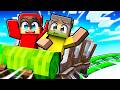 Minecraft But I Open A Theme Park