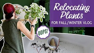 Relocating Houseplants for Fall and Winter Vlog | Tips for Keeping Plants Happy and Healthy All Year