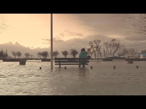 Break for Soft House | Feel the Pressure by Daxten, Wai feat. Cleo Kelley [Break for Music]