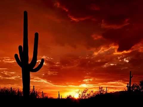 David Galas - Arizona