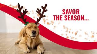 Good 'n' Fun Savor The Season with Peanut Butter Dog Treats