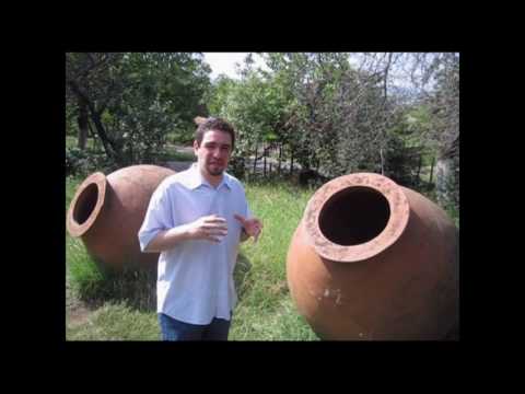 Shota Kuprava - Guide of Hungary (IChO-48)