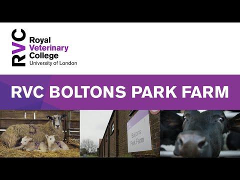 , title : 'RVC Boltons Park Farm, Hertfordshire'