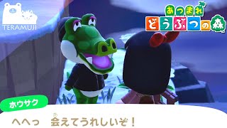 あつまれ！！動物！！