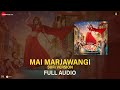 Mai Marjawangi Sufi Version Danish Sabri Full Audio Dream Girl 2 Ayushmann K Ananya P