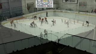 Cornell 4, St. Lawrence 1 (women's hockey)