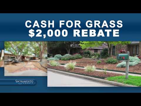 Cash for Grass