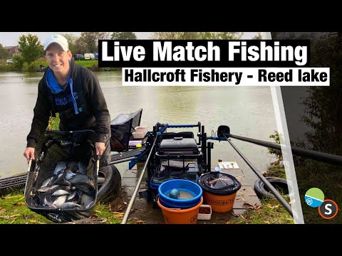 Live Match Fishing - Hallcroft Fishery Winter league