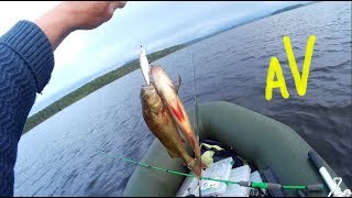 Воблеры duo realis crank 48sr