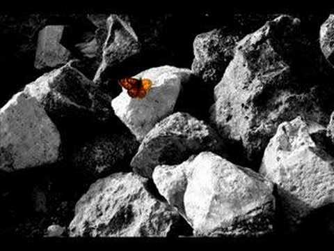 Nina Persson - Frequent Flyer