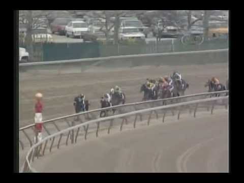 1992 Wood Memorial Stakes - Devil His Due