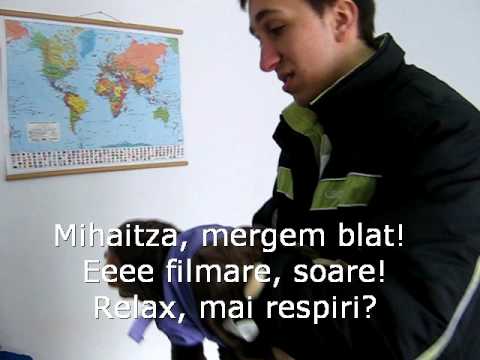 Fitzuica Constanta 2008 Baltagesti