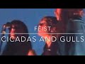 “Cicadas and Gulls” — Feist — The Strathmore Theater - Bethesda, MD