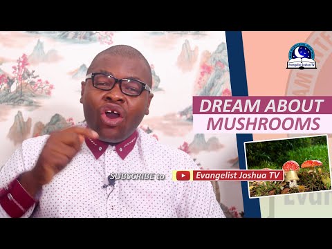 DREAM ABOUT MUSHROOMS - Find Out The Biblical And Spiritual Meaning
