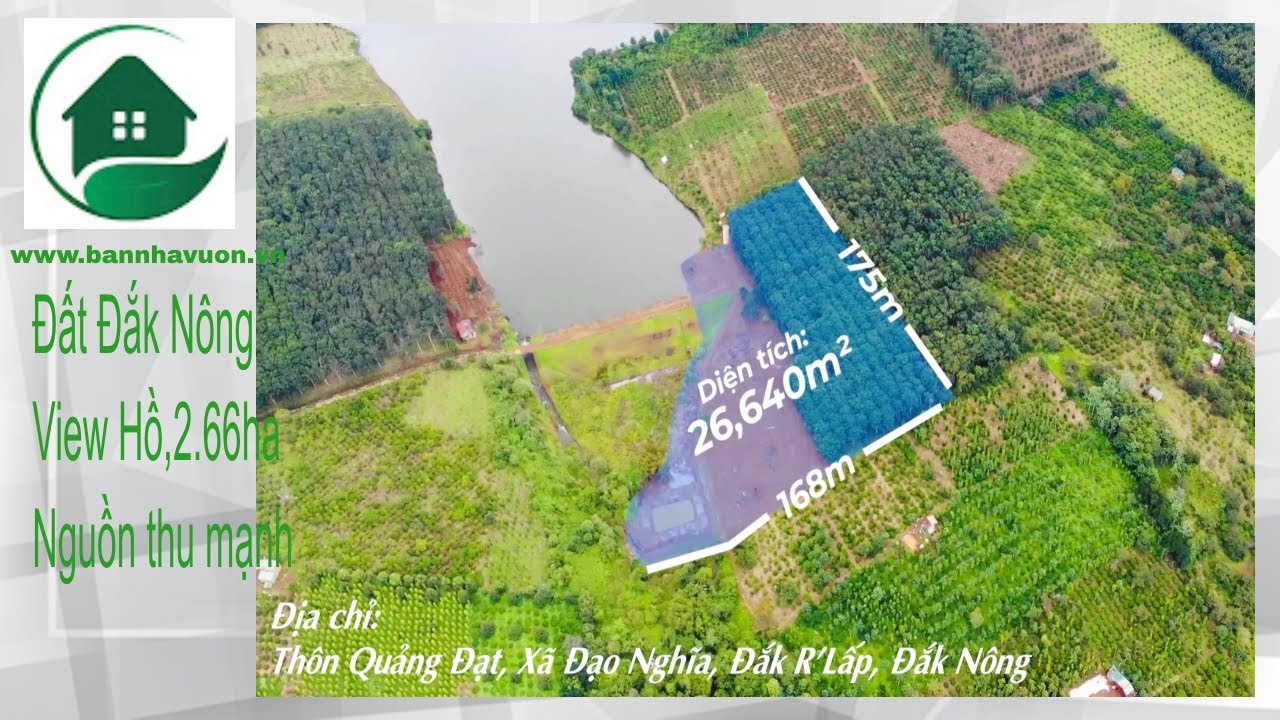 2,66ha đất cao su chưa thu, view đập lớn, đường ô tô, gần trung tâm xã Đắk Nông