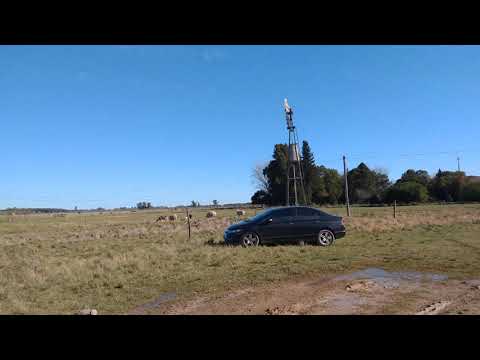 Domselaar agosto 2020