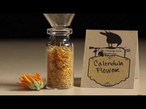 Mamba Grinder Kickstarter Video