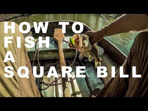 How To Fish a SquareBill Crankbait for Bass- Pond Fishing