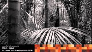 solee - timba / parquet recordings