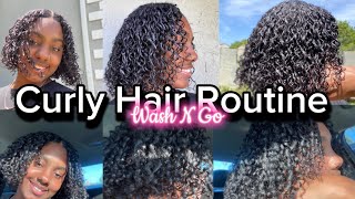 Wash N Go On 3C/4A-4B Hair | Detailed Curly Hair Routine Step By Step| Defined Curls + Volume