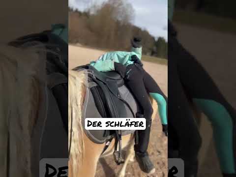 3 Arten zu Reiten 😂 #reiten #stile #fun #pony #bayern #reitschule