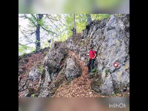 Planina Tupiznica- planina jorgovana. Hiking in Tupiznica