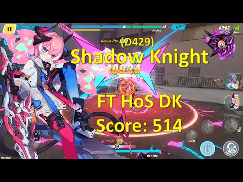 HI3 Abyss Superstring Dimension Nirvana (D429) - FT HoS DK vs SK - Weather Counter (514)