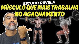 Estudo surpreende ao revelar o que realmente trabalha no agachamento!
