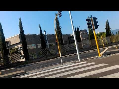 Guidare guardando il cellulare