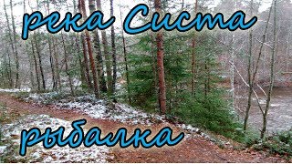 Река гороховка ленинградская область рыбалка
