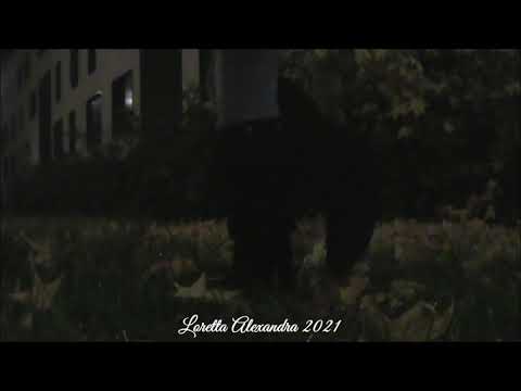 My new black Minnetonka 5 Layer Fringe boots preview