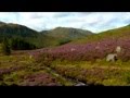 Bothy Band (live) - The Heathery Hills of Yarrow ...