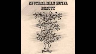 Neutral Milk Hotel - Beauty (Full Album)