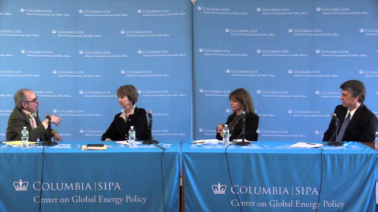 CGEP The Transition to a Low-Carbon Future: Can it be Financed?