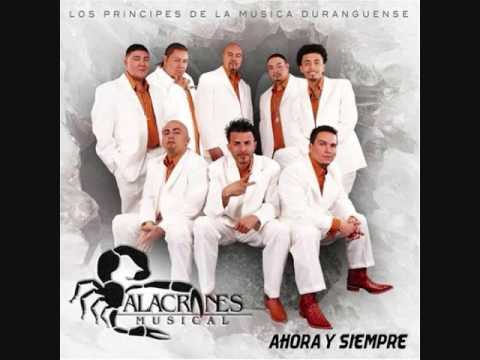 solo los tontos- alacranes musical lyrics