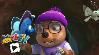 📖✨ Mission Impossimole | Moley | Family Fun Cartoons