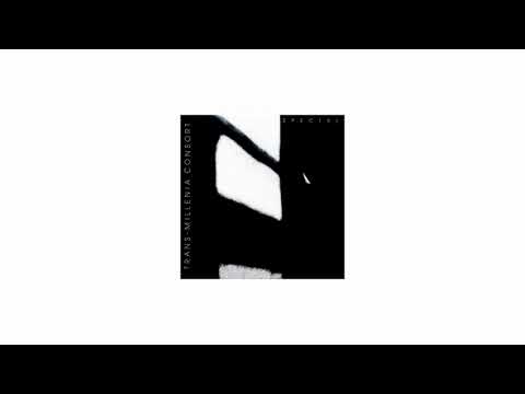 Pauline Anna Strom - Spectre