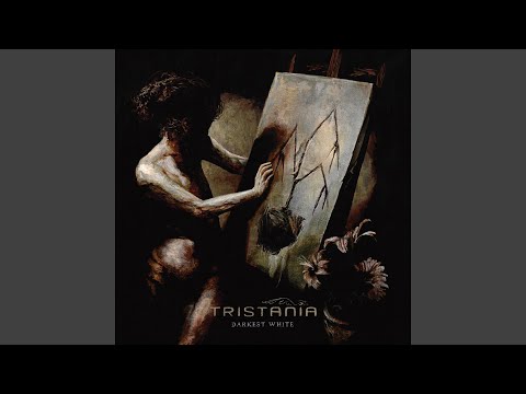 Lavender - Tristania