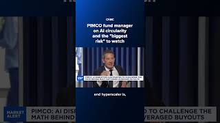 PIMCO fund manager on AI circularity concerns and the 'biggest risk' to watch