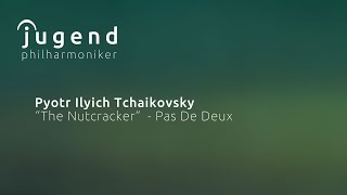 Download lagu P.Tchaikovsky: “The Nutcracker” - Pas De Deux / Jugend Philharmoniker mp3