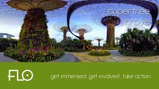 009 - Supertree Grove