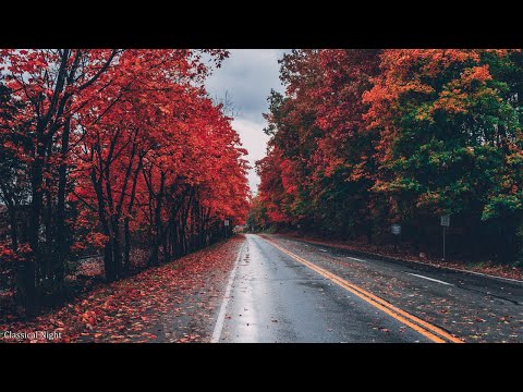 Klassische Sonaten – Juwelen der klassischen Musik – Mozart, Beethoven, Bach, Chopin, Vivaldi...#2