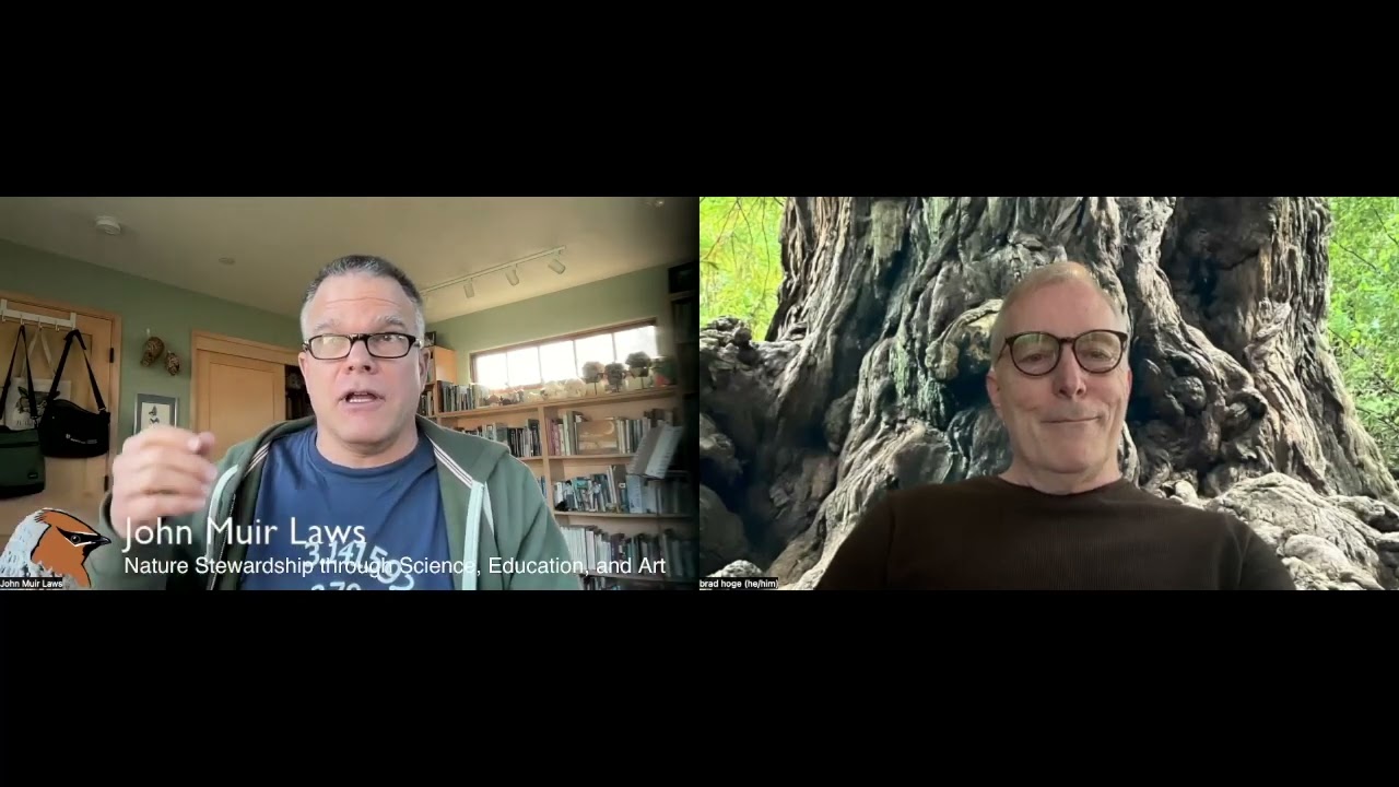 Exploring Poetry with Bradley Earle Hoge