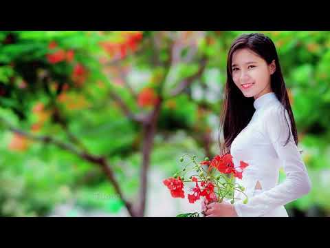 Mộng mây trời - Ngọc Quy