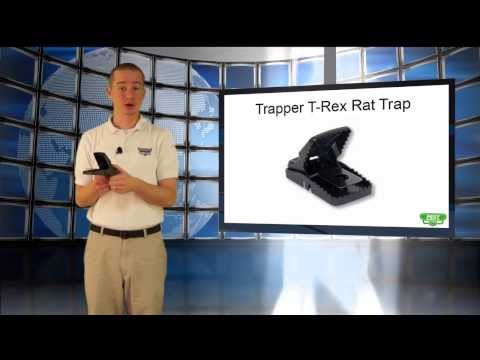 Pest Control Products - Trapper TREX Rat Traps