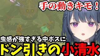 【 ゼルダの伝説 ティアーズ オブ ザ キングダム#33】虫感が強すぎる中ボスにドン引きの小清水【小清水 透切り抜き】※ネタバレあり